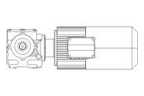 WORM GEAR MOTOR