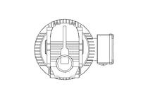 WORM GEAR MOTOR