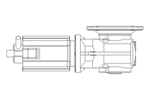 GEAR MOTOR