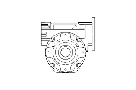 WORM GEAR