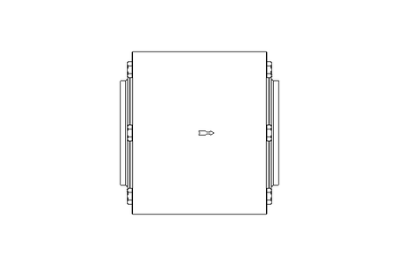 Check valve