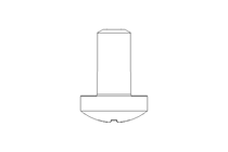 Linsenschraube M2x4 A2 ISO7045