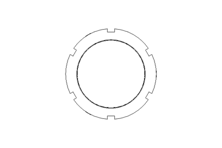 Shaft nut ANS M80x2 1.4305