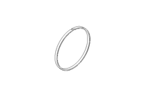 Guide ring GP 74.9x78x3.9