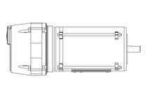 Drehstrommotor 0,75 kW / 1HP