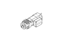 Spur gear motor 0.37kW 306 1/min