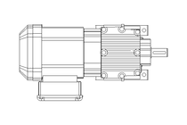 Spur gear motor 0.37kW 70 1/min