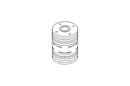 Rotex Shaft Coupling