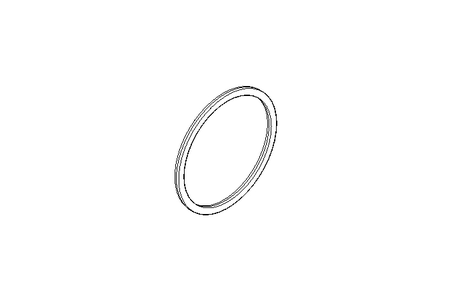 SEALING RING   DN80