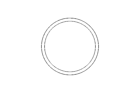 SEALING RING   DN80