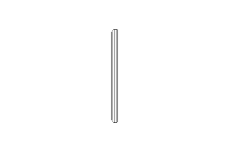 SEALING RING   DN80