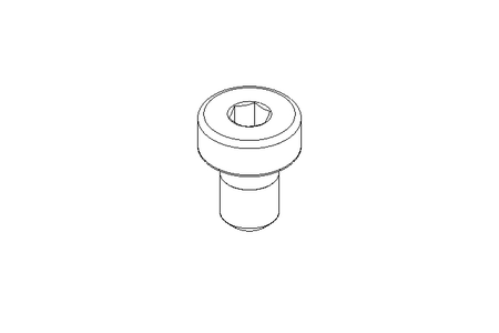 Cap screw M4x6 A2 8.8 DIN7984