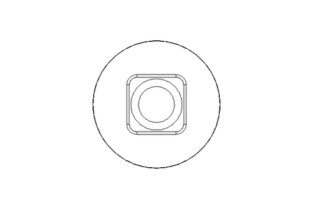 Round head screw M10x30 A2 DIN603