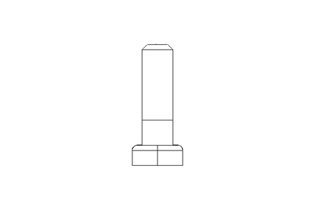 SCREW DIN 787 M6x6x20  A270