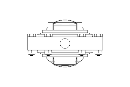 Butterfly valve B DN080 WVW NC E EX