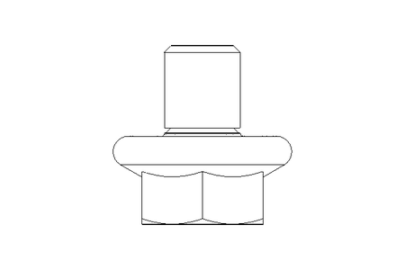 Hexagon screw M5x6 A2 DIN EN 1665