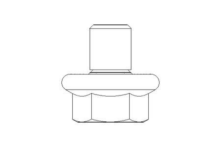 Hexagon screw M5x6 A2 DIN EN 1665