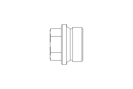 SCREW PLUG G1 A2 DIN 910