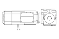 WORM GEAR MOTOR