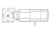 WORM GEAR MOTOR