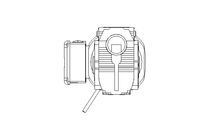 WORM GEAR MOTOR