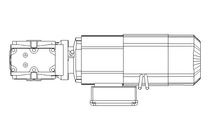 WORM GEAR MOTOR