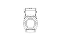 WORM GEAR MOTOR