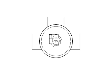 Divert valve SC DN080 1810 NC E