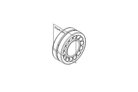 Pendelrollenlager 55x120x43