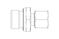 Pipe screw connector L 10 G1/2" 1.4571