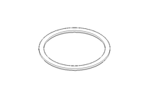 GASKET NOMINAL DIAMETER 100