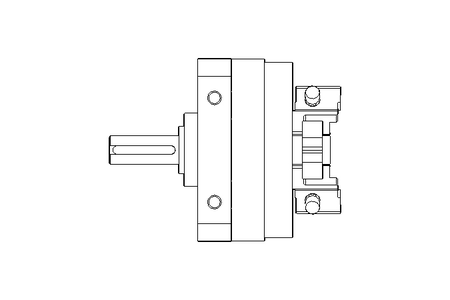 Schwenkantrieb D32 H270