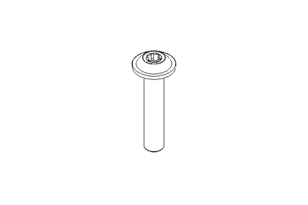 Screw M5x25 A2 Withoutstandard