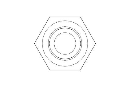 Hexagon screw M10x110 8.8 ISO4017