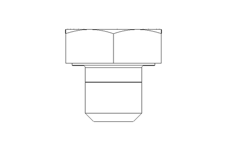 Hexagon screw M10x10 8.8 ISO4017