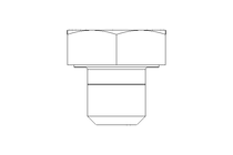 Hexagon screw M10x10 8.8 ISO4017