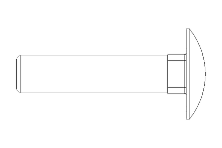 Round head screw M10x45 A2 DIN603