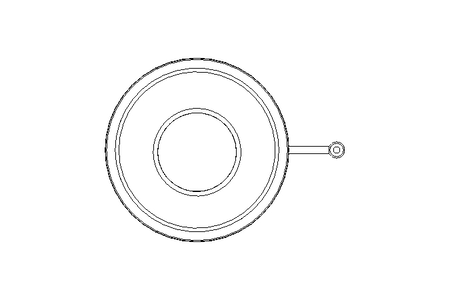 Check valve DN100 PN16