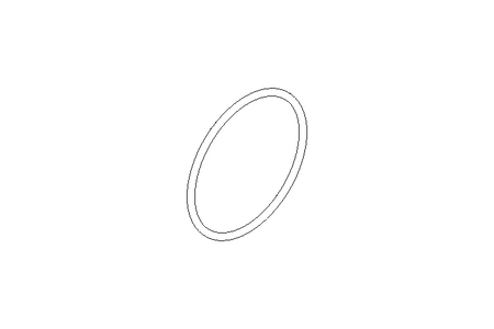 O-ring 113.67x5.33 Fluoroprene