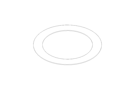 Dichtscheibe DN 80 PTFE