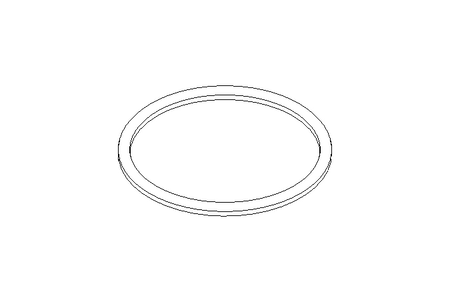 Sealing ring G DN80 NBR DIN11851