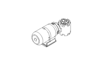 Worm gear motor 0.55kW 56 1/min