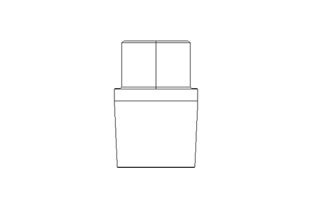 Plug R1/4" 1.4571 EN10241