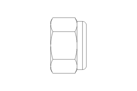 Hexagon nut M12 St-Zn DIN982